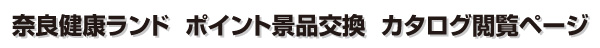 �V�X�e���Љ�摜1