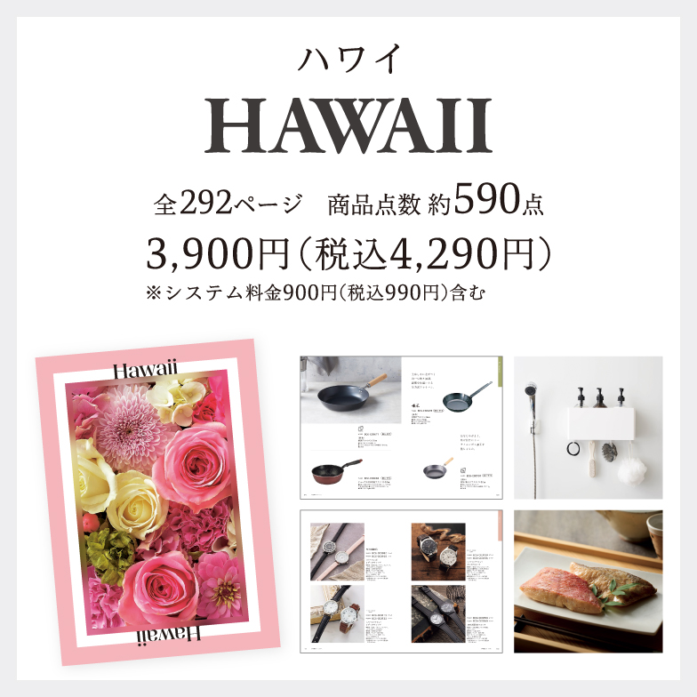 ハワイ4,290円(税込)※システム料金990円(税込)含む