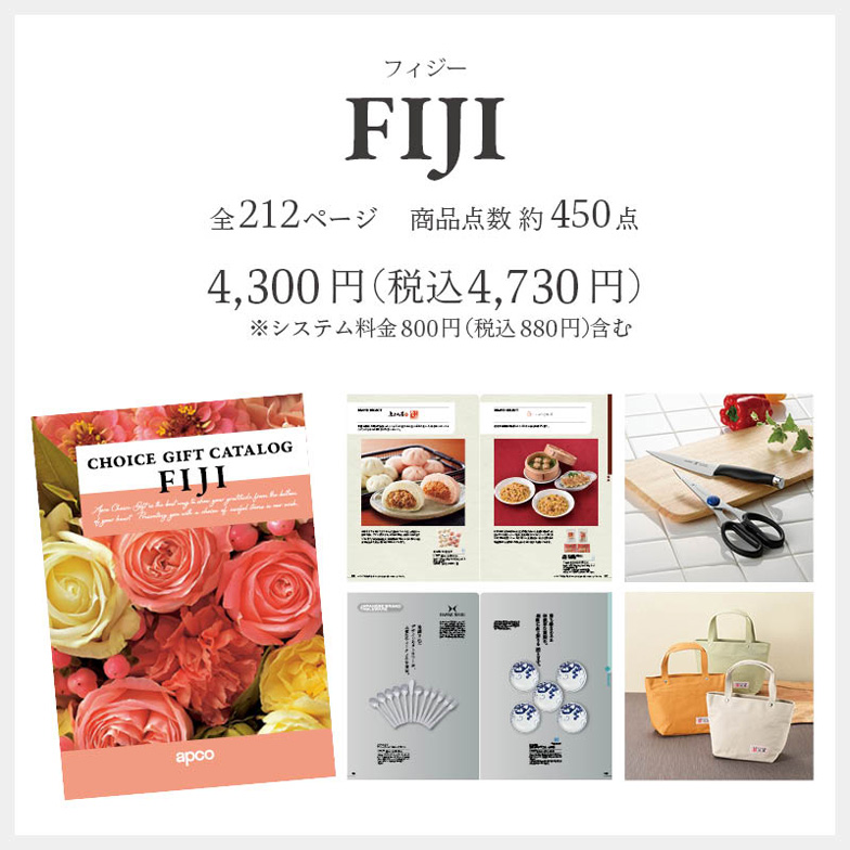 フィジー4,730円(税込)※システム料金880円含む